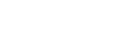 Wise Cat Business Services